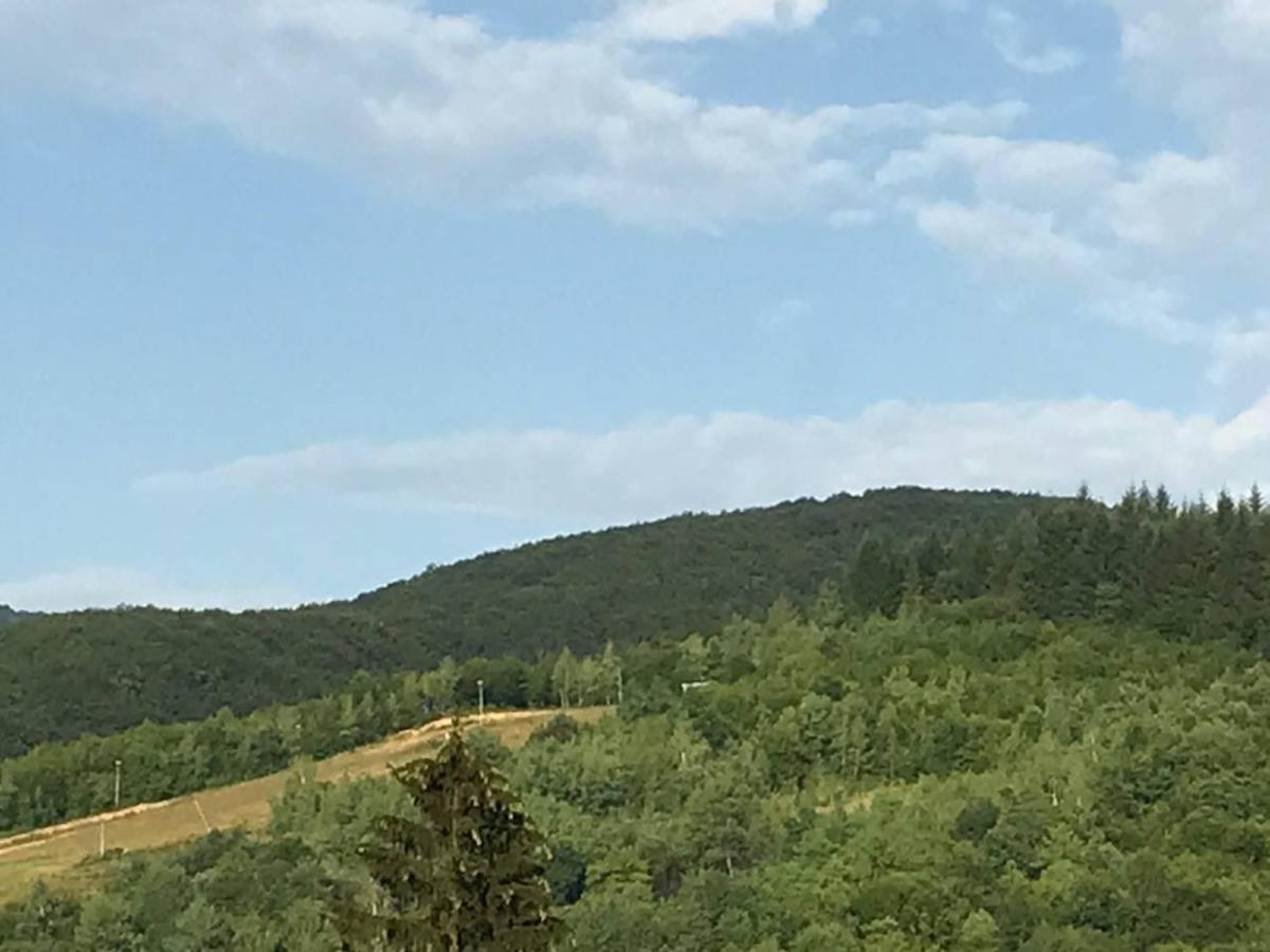 פוליאנה Приватна Садиба ~Smoky Mountain~ מראה חיצוני תמונה